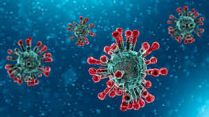 Pathogen identified as coronavirus 2019n-CoV