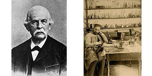 DESCUBREN LAS MITOCONDRIAS