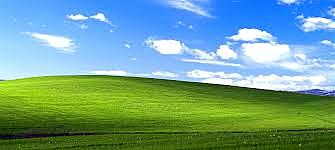 windows XP