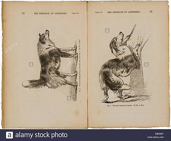 Darwin "La expresión de las emociones en el hombre y en los animales"