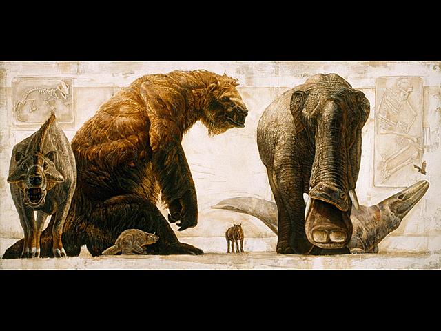 Extinction of dinosaurs, Rising of the Mammals