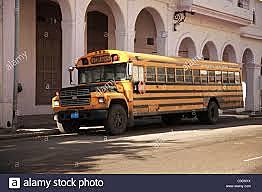 The Yellow School Buses
