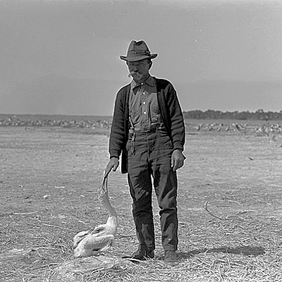 Timeline: Teddy Roosevelt