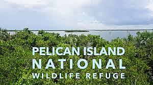 Pelican Island, Florida Named First National Wildlife Refuge