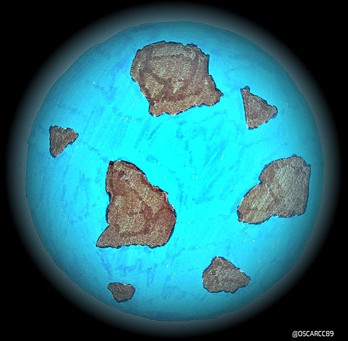 Earth starts to cool & solidify