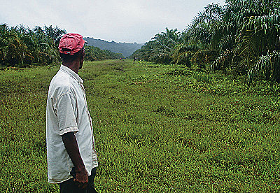Tierras de las Comunidades Negras