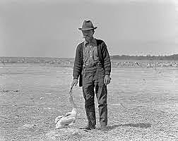 Pelican Island, Florida named first Wildlife Refuge