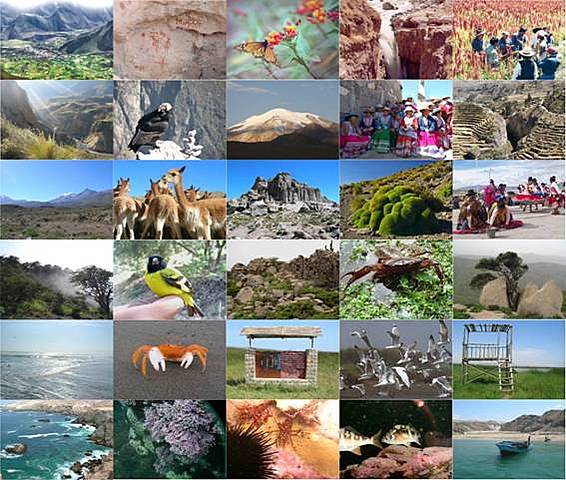 Explotación de los recursos naturales