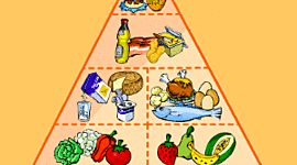 Timeline: La nutrición en los seres vivos