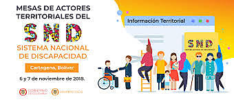 Sistema Nacional de Discapacidad