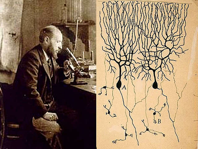 Santiago Ramón y Cajal