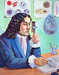 Anton Van Leeuwenhoek