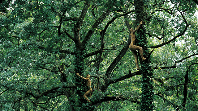 Prof - Intégration / Rupture / Ernest Pignon Ernest: "Les Arbrorigènes" (Microalgues, mousse de polyuréthane, hauteur moyenne des personnages: 180 cm. Uzeste en 1983; Jardin des Plantes, Paris en 1984; Biennale de Venise en 1986. Land Art)