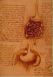 Investigaciones de Da Vinci