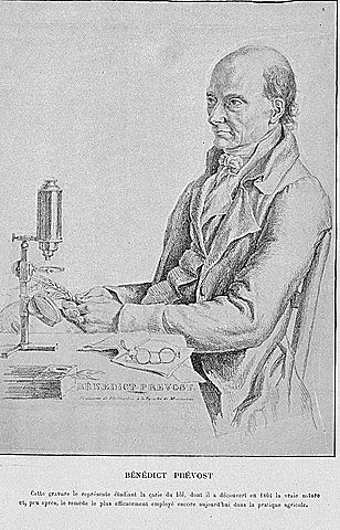 Benedict Prevost