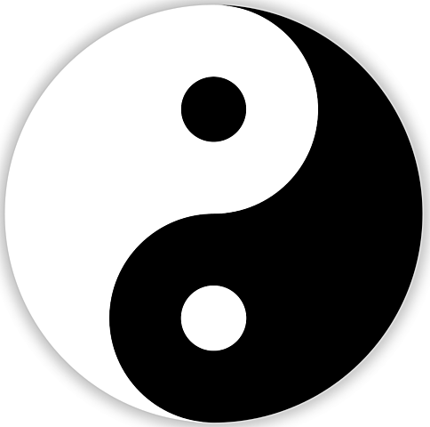 Medicina Tradicional China (MTCH)