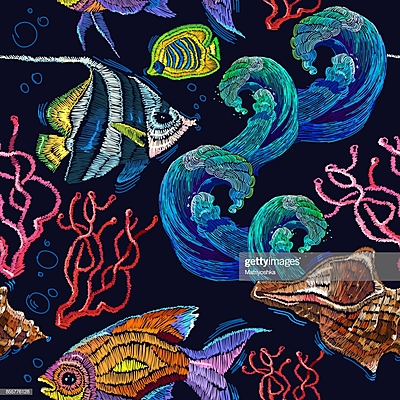 Timeline: tecnologías que han impactado en el área de biología marina