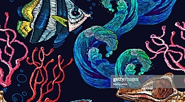 Timeline: tecnologías que han impactado en el área de biología marina