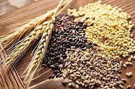 La nutrición en 1830