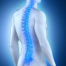 Inicios de la quiropráctica