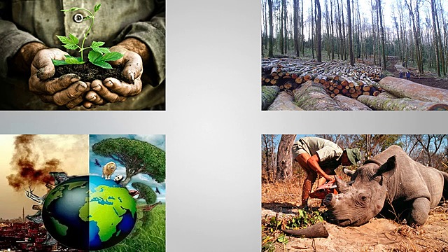 1998 Explotación de los recursos naturales