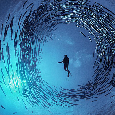 Timeline: tecnologías relacionadas con la biología marina