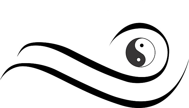 TAI CHI- 1300 D.C. SIGLO XIV