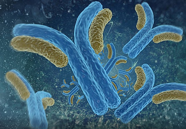 Vir Biotechnology discovers two antibodies against new coronavirus