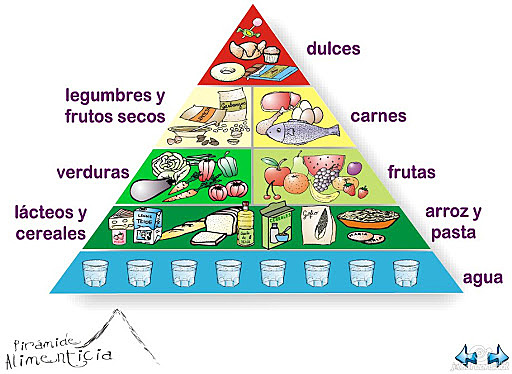 Introducción de la piramide alimenticia