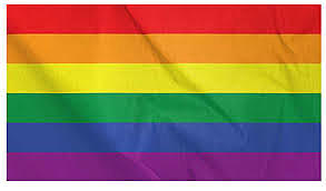 2011- a favor de las personas LGBTI