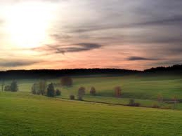 Johnny make his first purchase