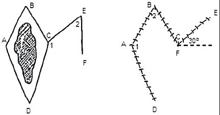 Según su vascularizacion.