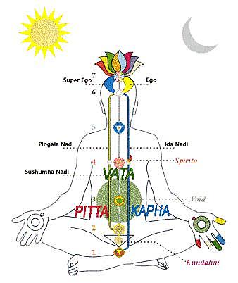 Medicina Ayurvédica de la India.