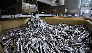 Tratado de Libre Comercio entre Centroamérica y Panamá (N