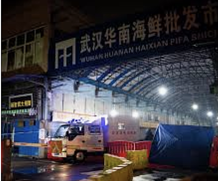 Aetiology discovered