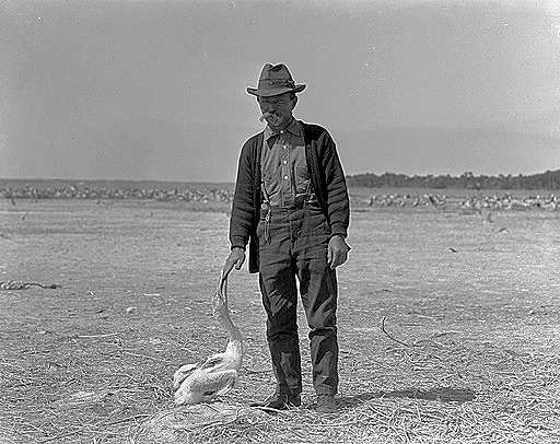 Pelican Island, Florida named First National Wildlife Refuge