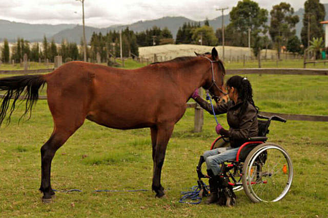 SIGLO XX A.C HIPOTERAPIA