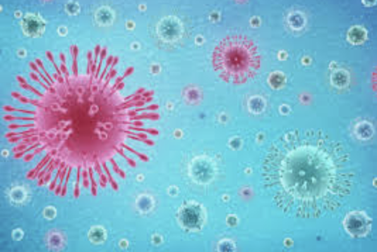 Genetic sequence discovered