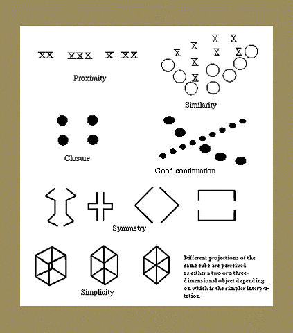 La Universalidad Del Principio De La Gestalt