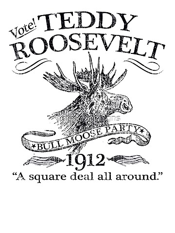 Teddy Roosevelt runs for presidency - unsuccessful Bull Moose Party