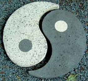 MEDICINA TRADICIONAL CHINA