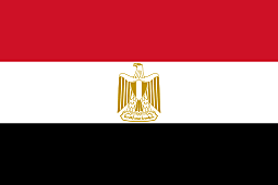 First case of 2019-nCoV in Egypt