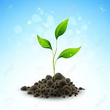 Desarrollo estabilizador