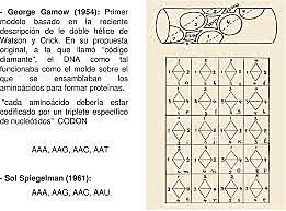 Marsall Warren  y Heinrich j,