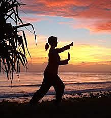 tai chi chuan