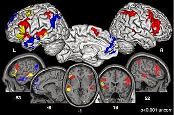 Durante la década de 1990