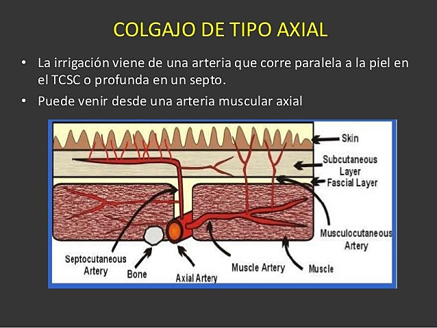 Cirugía reconstructiva