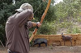 La nutricion en el 2002