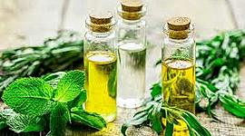 Timeline: MEDICINA NATURAL (Naturopatia)