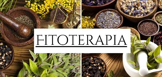 FITOTERAPIA